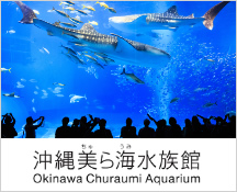 沖縄美ら海水族館