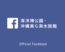 海洋博公園・沖縄美ら海水族館公式Facebook