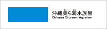 沖縄美ら海水族館 オフィシャルサイト