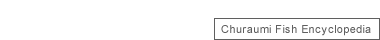 美ら海（ちゅらうみ）生き物図鑑