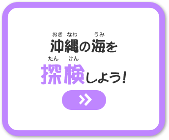 沖縄の海を探検しよう！