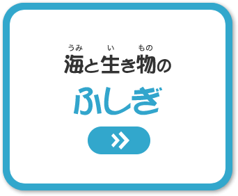 海と生き物のふしぎ