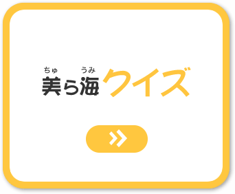 美ら海クイズ