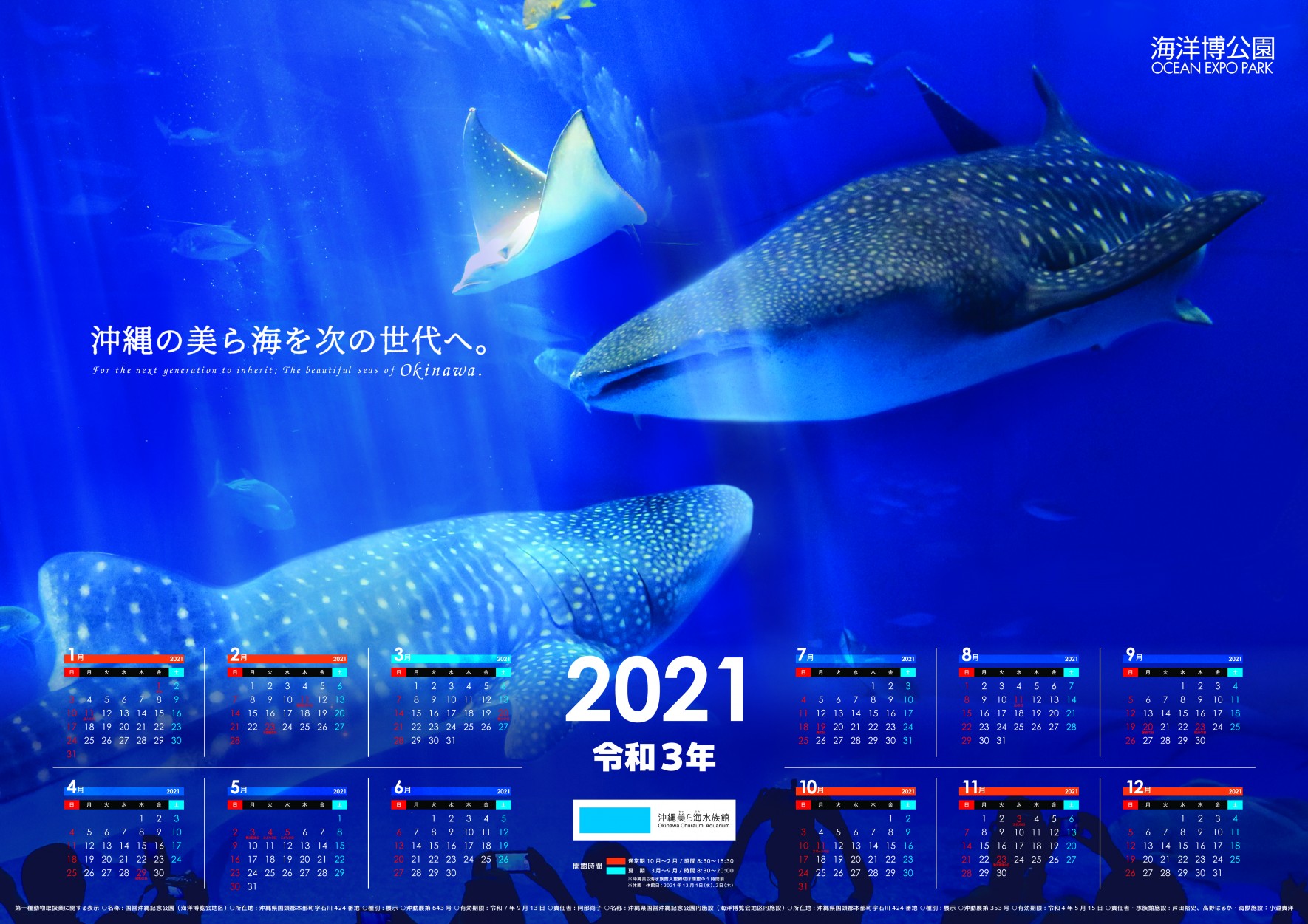 沖縄美ら海水族館　おかげさまで18周年の画像