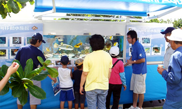 ふれあい水族館