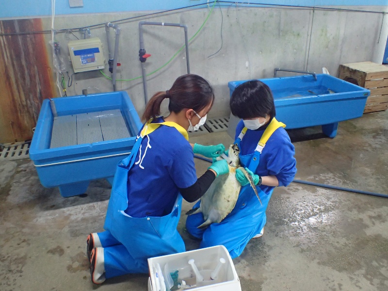 治療の様子 治療の様子