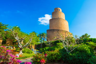 美ら島植物園(熱帯ドリームセンター)