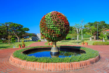 熱帯・亜熱帯都市緑化植物園