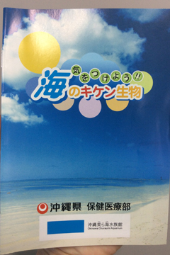 気をつけよう!!海のキケン生物