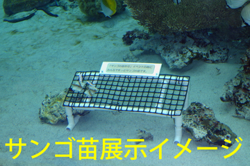 展示イメージ