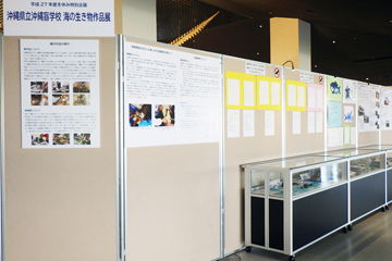 沖縄県立沖縄盲学校　海の生き物作品展