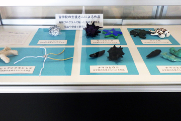 沖縄県立沖縄盲学校　海の生き物作品展