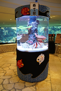 正月水槽