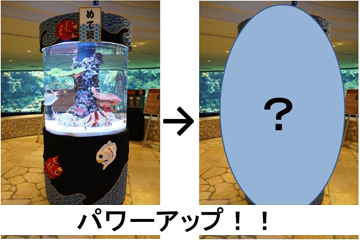 正月水槽