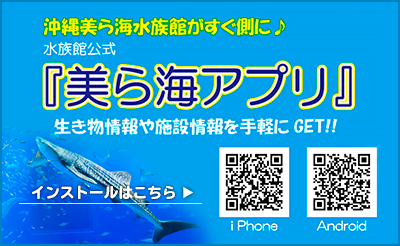 美ら海水族館公式「美ら海アプリ」