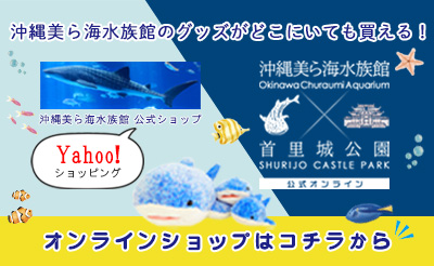 公式オンラインショップ