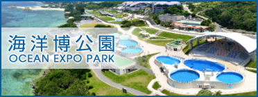 海洋博公園