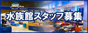 募集、求人、採用情報
