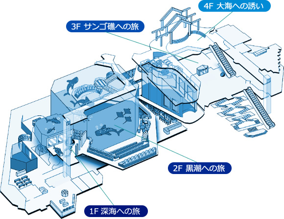 美ら海水族館全体地図