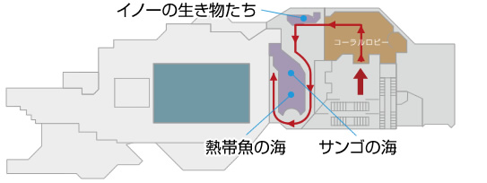 サンゴ礁への旅フロアマップ