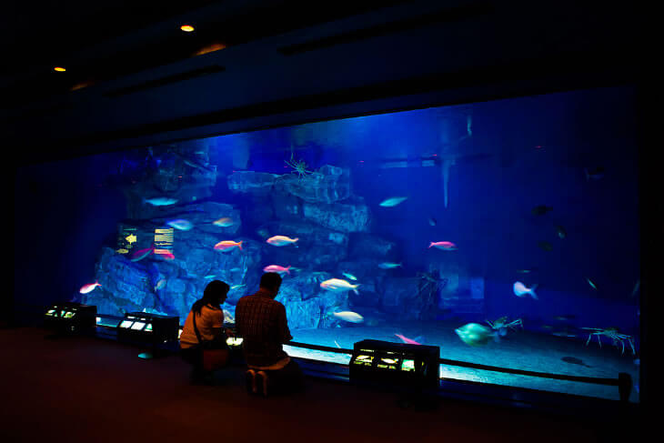「深海の海」水槽
