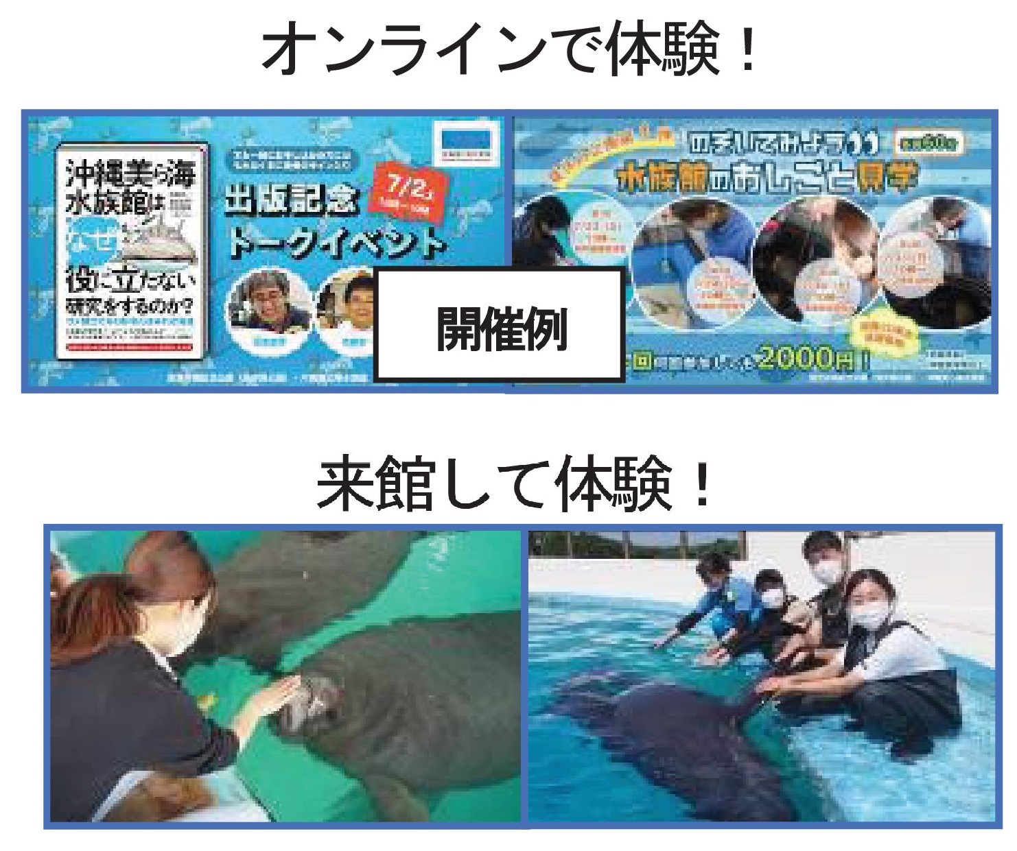 美ら海フォトコンテスト!