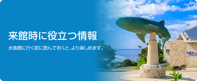 来館時に役立つ情報