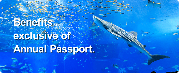 Benefits exclusive of Annual Passport.
