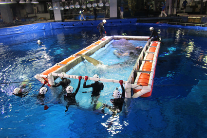 水族館の新しいこころみ！ジンベエザメの繁殖に向けた飼育展示について