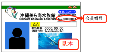 美ら海オトナ塾~年間パスポート会員様限定~