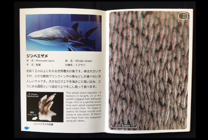 沖縄美ら海水族館オリジナル「サメのふしぎ とびだす!サメ肌図鑑」を販売! 沖縄美ら海水族館オリジナル「サメのふしぎ とびだす!サメ肌図鑑」を販売!