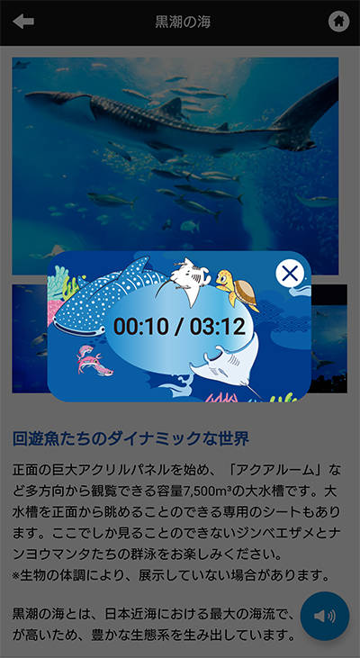音声ガイド機能 音声ガイド機能