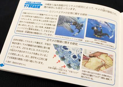 沖縄美ら海水族館オリジナル「サメのふしぎ」改訂版を販売! 沖縄美ら海水族館オリジナル「サメのふしぎ」改訂版を販売!