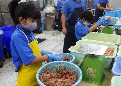 美ら海こども飼育体験【有料】の画像