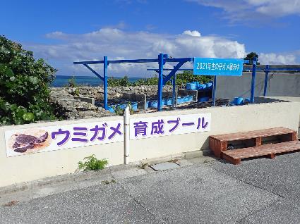 育成プール