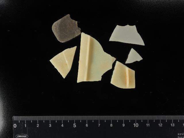 沖縄島に生息するウミガメ：約20％が海洋ゴミを摂食 ウミガメ館で30年間の調査結果を公開の画像