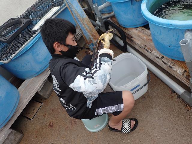 ウミガメから学ぶ環境学習