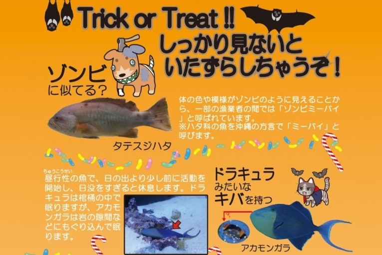 期間限定！ハロウィン水槽が登場の画像