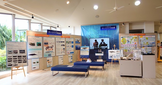 「クジラの見える水族館」でザトウクジラ特設展・写真展を開催の画像