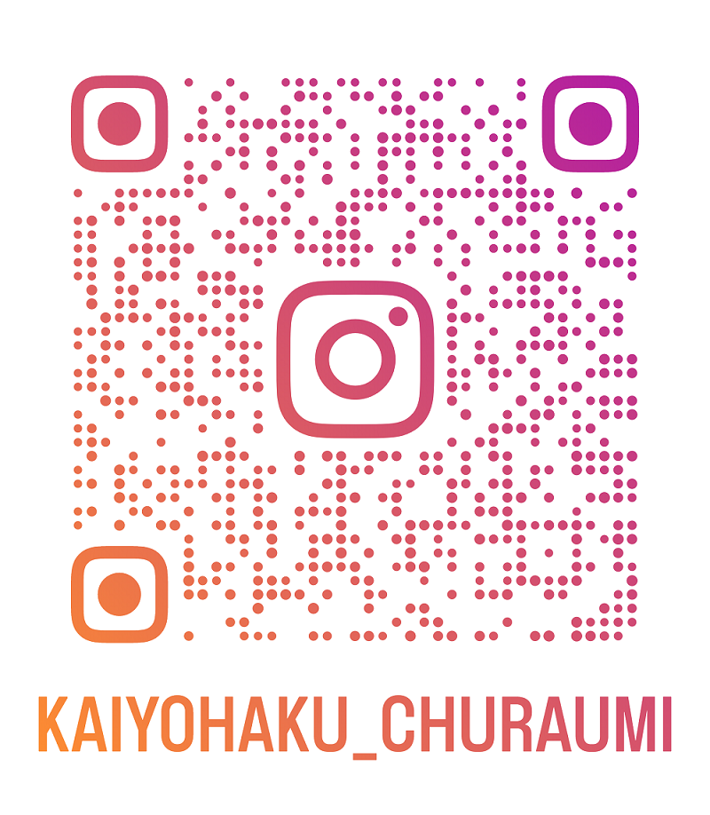 InstagramＱＲコード