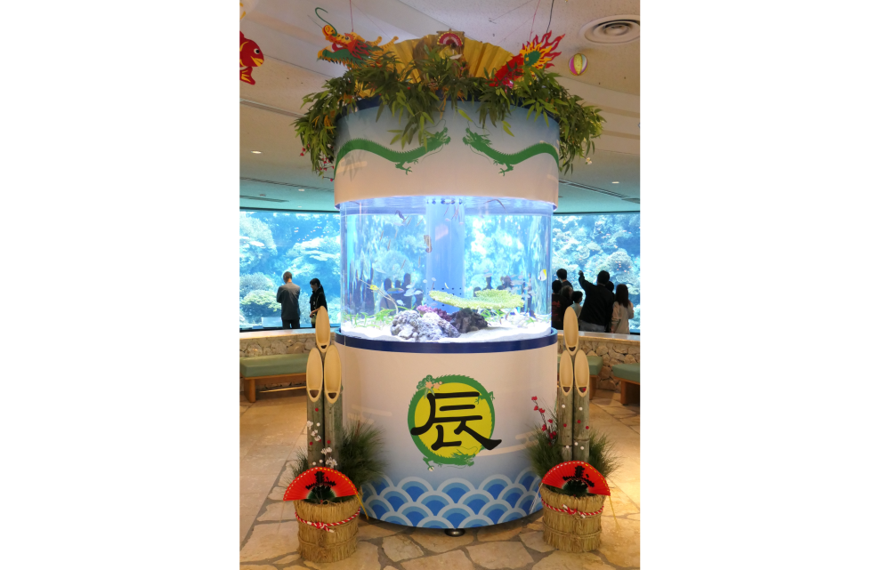 12/29～お正月水槽が登場！の画像