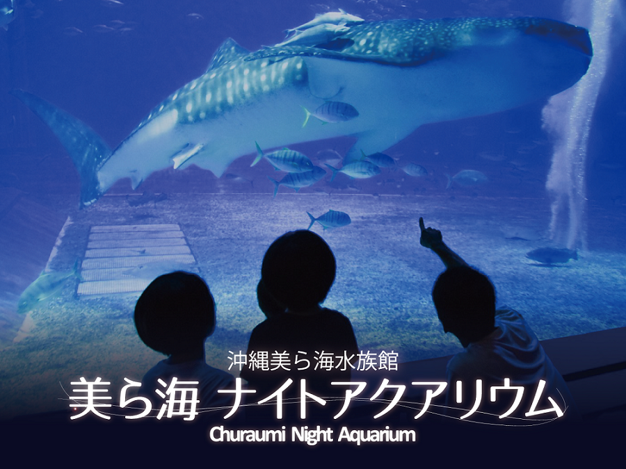 8/1～「美ら海ナイトアクアリウム」開催の画像
