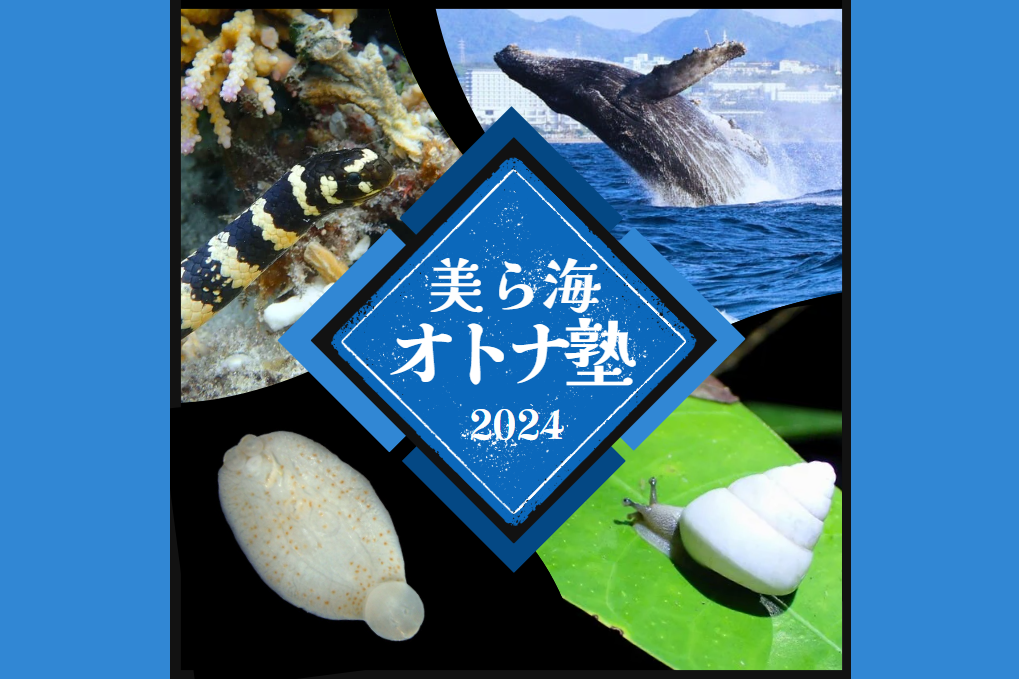 「美ら海オトナ塾」好評につき今年度も開催！の画像