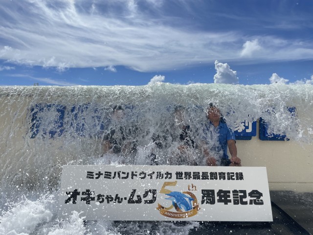 イルカと楽しむ全身で感じる夏！『Summer Show』開幕の画像