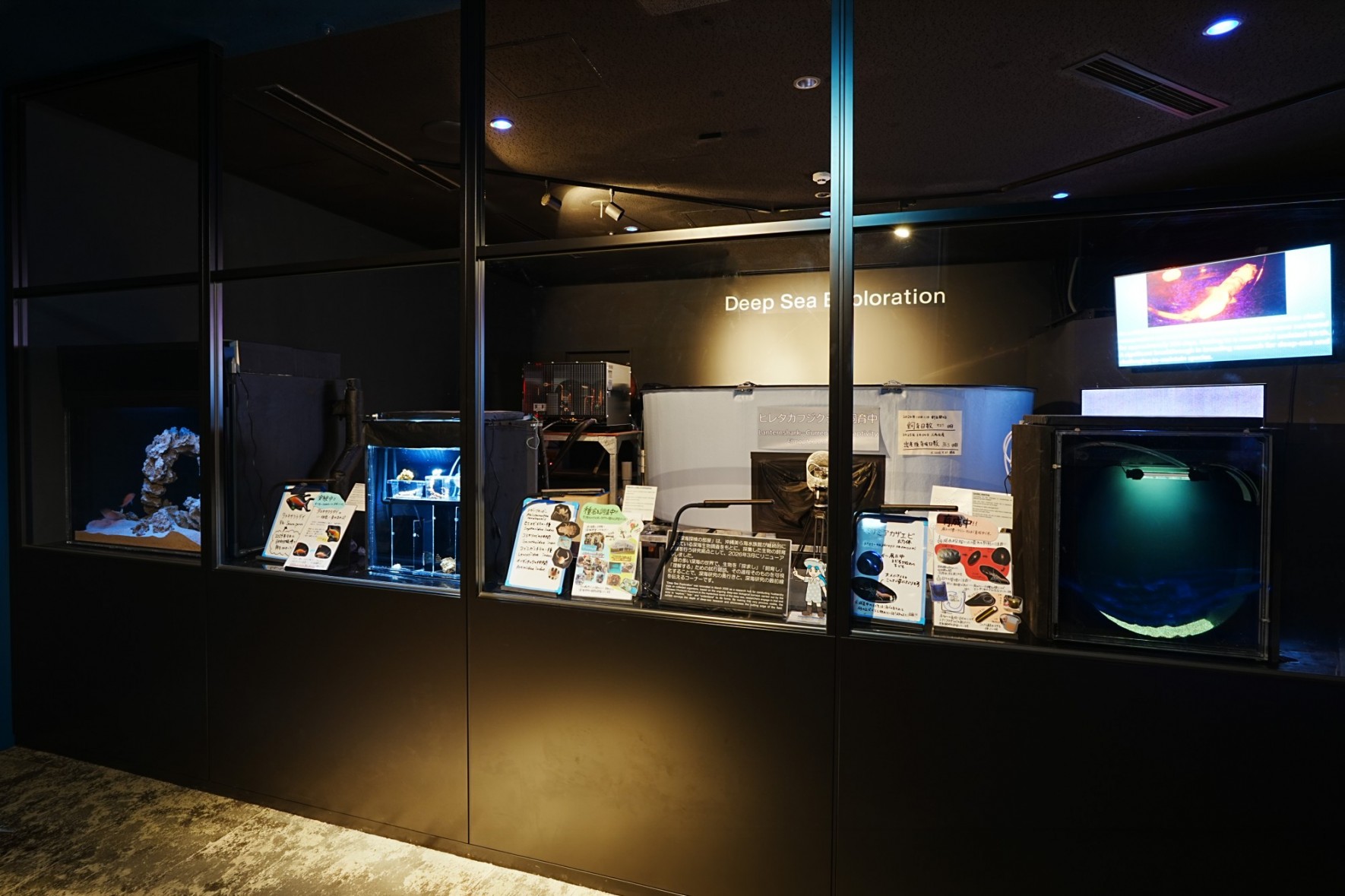「深海探検の部屋」リニューアルオープン～深海研究の最前線を公開する新展示エリア〜の画像
