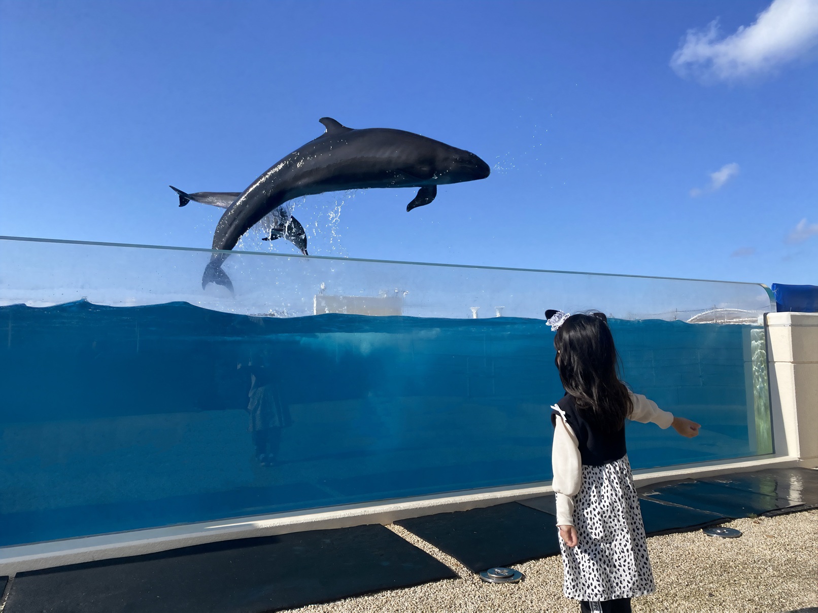 3/20よりオキちゃん劇場Spring Show開催の画像