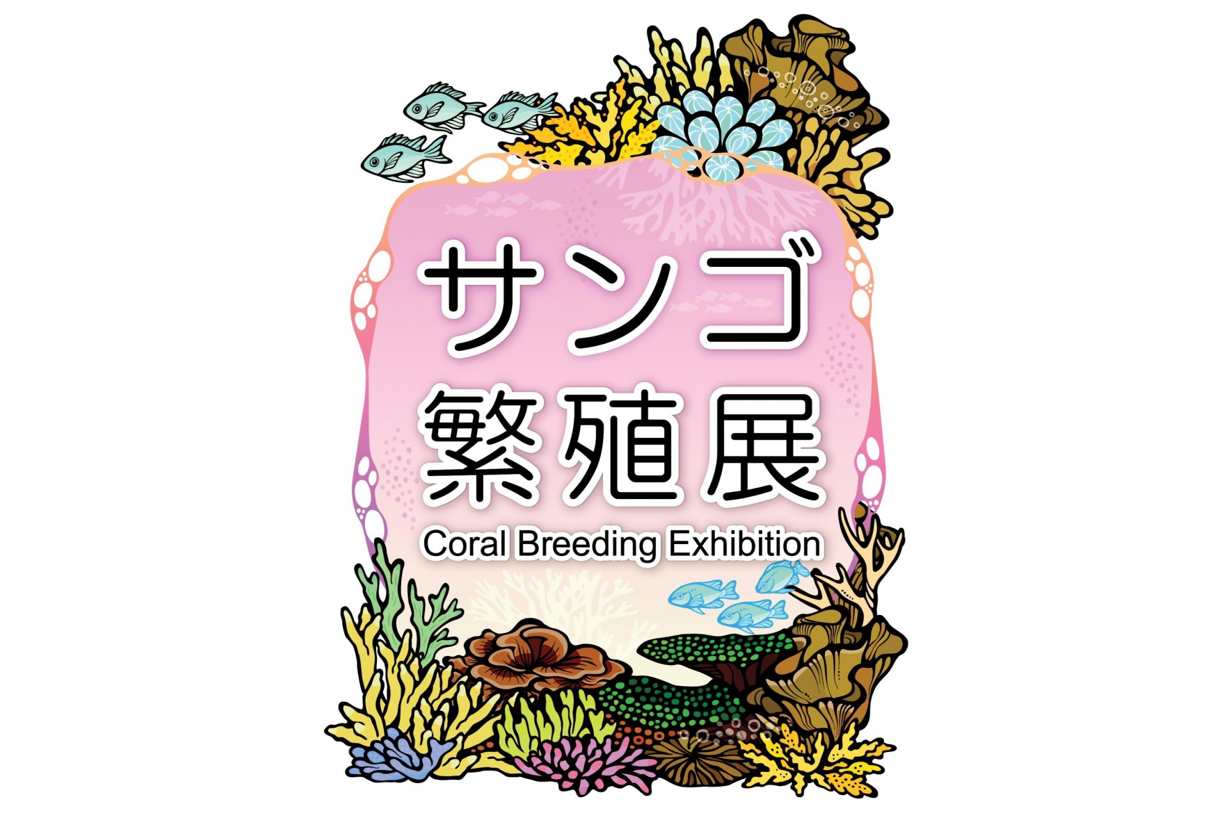 「サンゴ繁殖展2026」開催　～世界唯一の展示も! 神秘の生態まるわかり～の画像