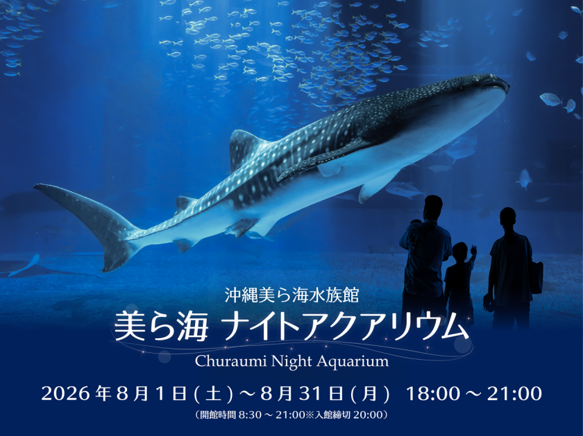 夏の夜 水族館で特別な時間を「美ら海ナイトアクアリウム」開催の画像