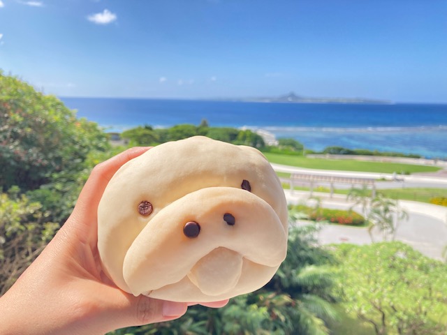 沖縄美ら海水族館オリジナル「〇〇のふしぎ」シリーズ 沖縄美ら海水族館オリジナル「〇〇のふしぎ」シリーズ