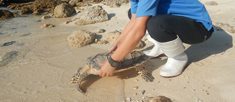CONSERVATION